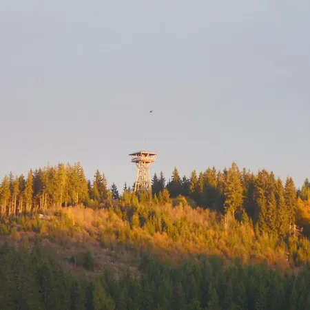 Haus Dilger * Schluchsee